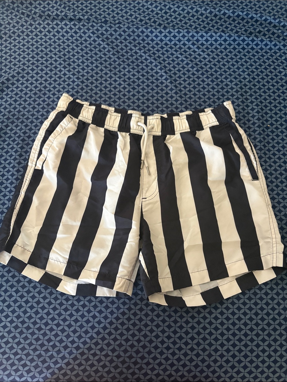 Black and White Vertical Stripe Swim Shorts